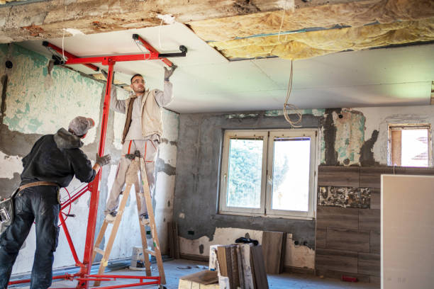 Best Insulation Maintenance and Repair in Orofino, ID